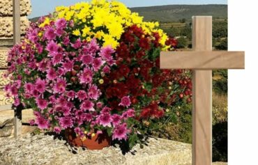 Croix et Chrysanthème 2023