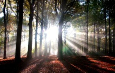 Image PA prière février 2026