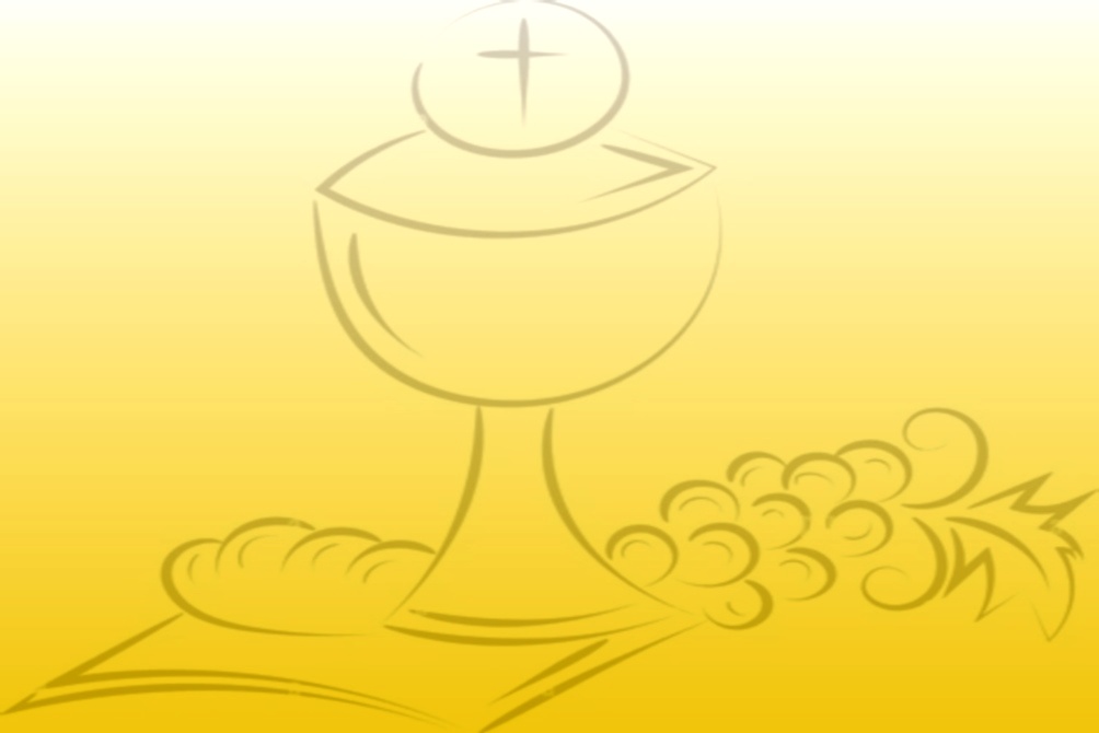 1ére communion * NDA * Lapalisse